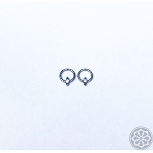 Captive 6mm Beaded Zirconia Titânio